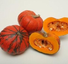 img-1: Тыква Конфетка - ООО «Семена Тут»