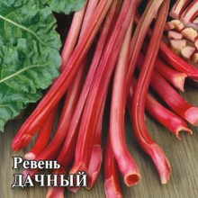 Ревень Дачный - ООО «Семена Тут»