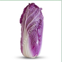 Капуста пекинская KS 888 F1 - ООО «Семена Тут»