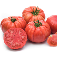 Томат Пинк Кой F1 - ООО «Семена Тут»