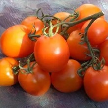 Томат Де Барао оранжевый - ООО «Семена Тут»