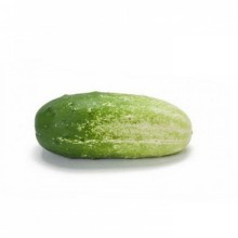 img-3: Огурец Квирк F1 - ООО «Семена Тут»