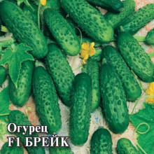 Огурец Брейк F1 - ООО «Семена Тут»