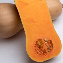 Тыква Элиана F1 - ООО «Семена Тут»