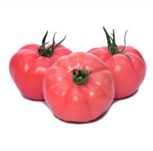 Томат Гюсто F1 - ООО «Семена Тут»