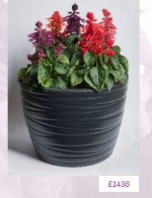 img-1: Сальвия Хотблум Микс [1000 шт] - ООО «Семена Тут»