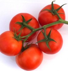 Томат Кадьяк F1 - ООО «Семена Тут»
