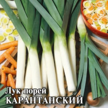 img-1: Лук порей Карантанский - ООО «Семена Тут»