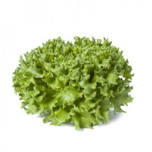 Салат Каравел - ООО «Семена Тут»