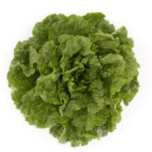 Салат Конвершн - ООО «Семена Тут»