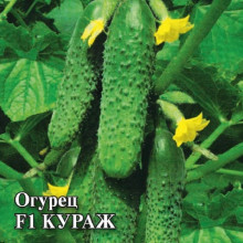 img-2: Огурец Кураж F1 - ООО «Семена Тут»