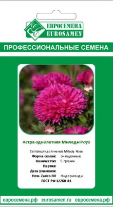 img-1: Астра Миледи Роуз [5 гр] - ООО «Семена Тут»