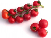 img-1: Томат Минтич F1 - ООО «Семена Тут»