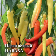 Перец острый Наваха - ООО «Семена Тут»
