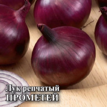 Лук репчатый Прометей - ООО «Семена Тут»
