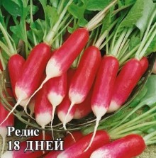 img-1: Редис 18 дней - ООО «Семена Тут»