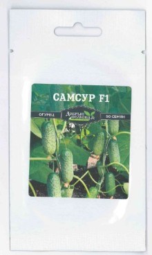 img-4: Огурец Самсур F1 - ООО «Семена Тут»