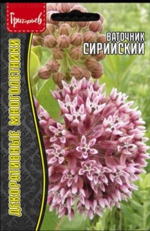img-1: Ваточник сирийский [5*15 шт] - ООО «Семена Тут»