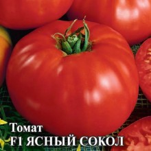 Томат Ясный сокол F1 - ООО «Семена Тут»