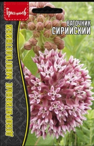 img-1: Ваточник сирийский [5*15 шт] - ООО «Семена Тут»