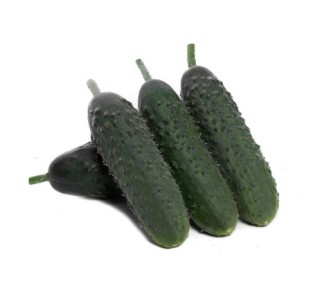 img-2: Огурец Вятич F1 - ООО «Семена Тут»