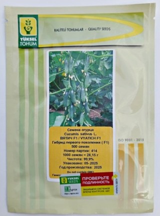 img-1: Огурец Вятич F1 - ООО «Семена Тут»