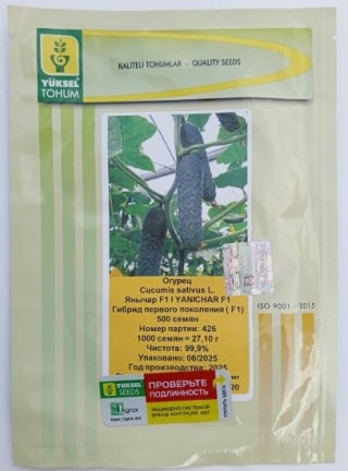 img-1: Огурец Янычар F1 - ООО «Семена Тут»